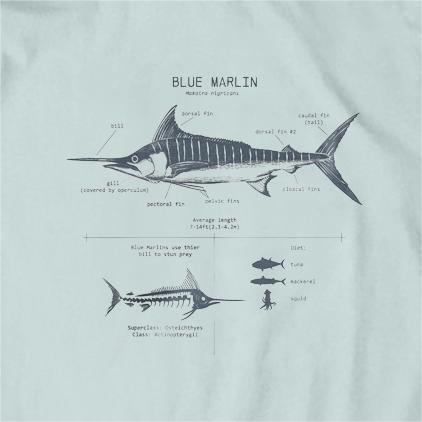 Blue Marlin Anatomy T-Shirt