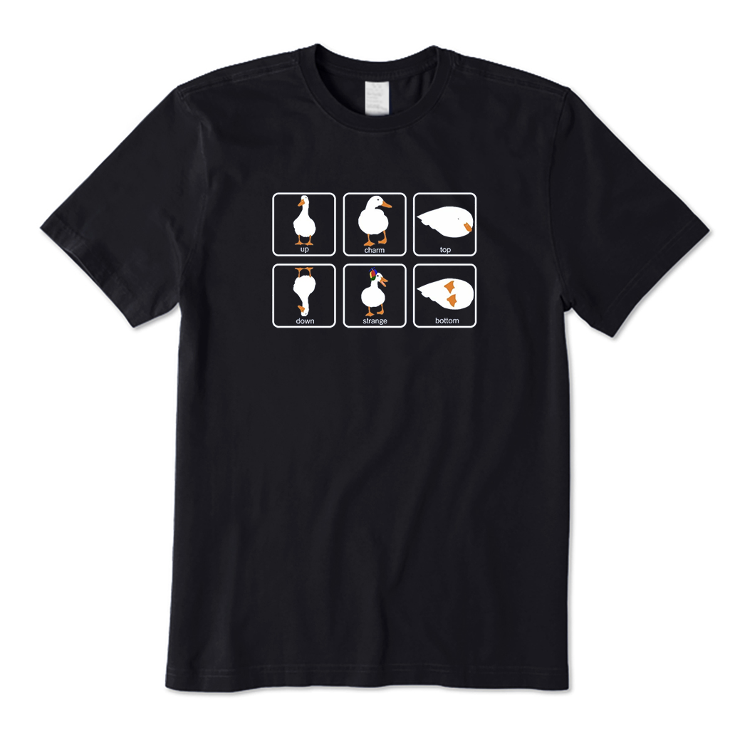 Physics Pun T-Shirt