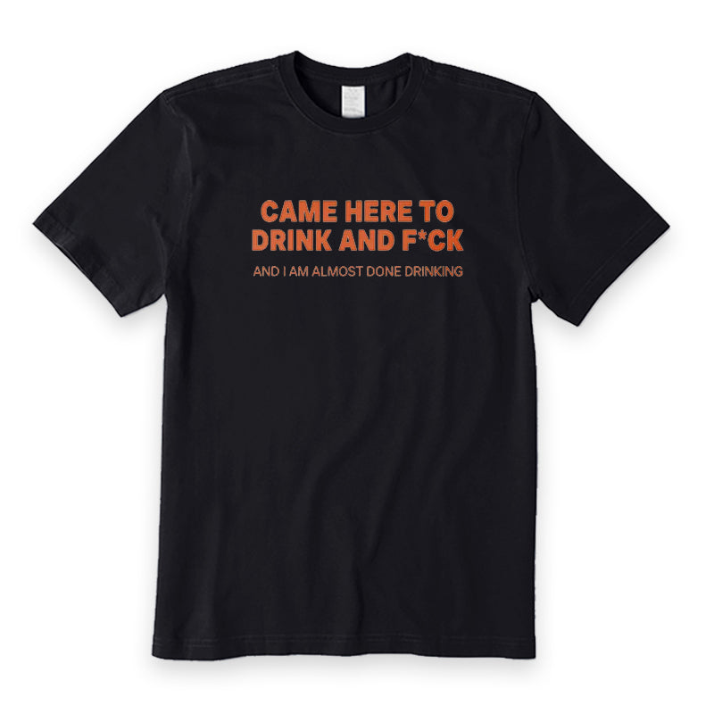 Came Here To Drink And F*ck T-Shirt