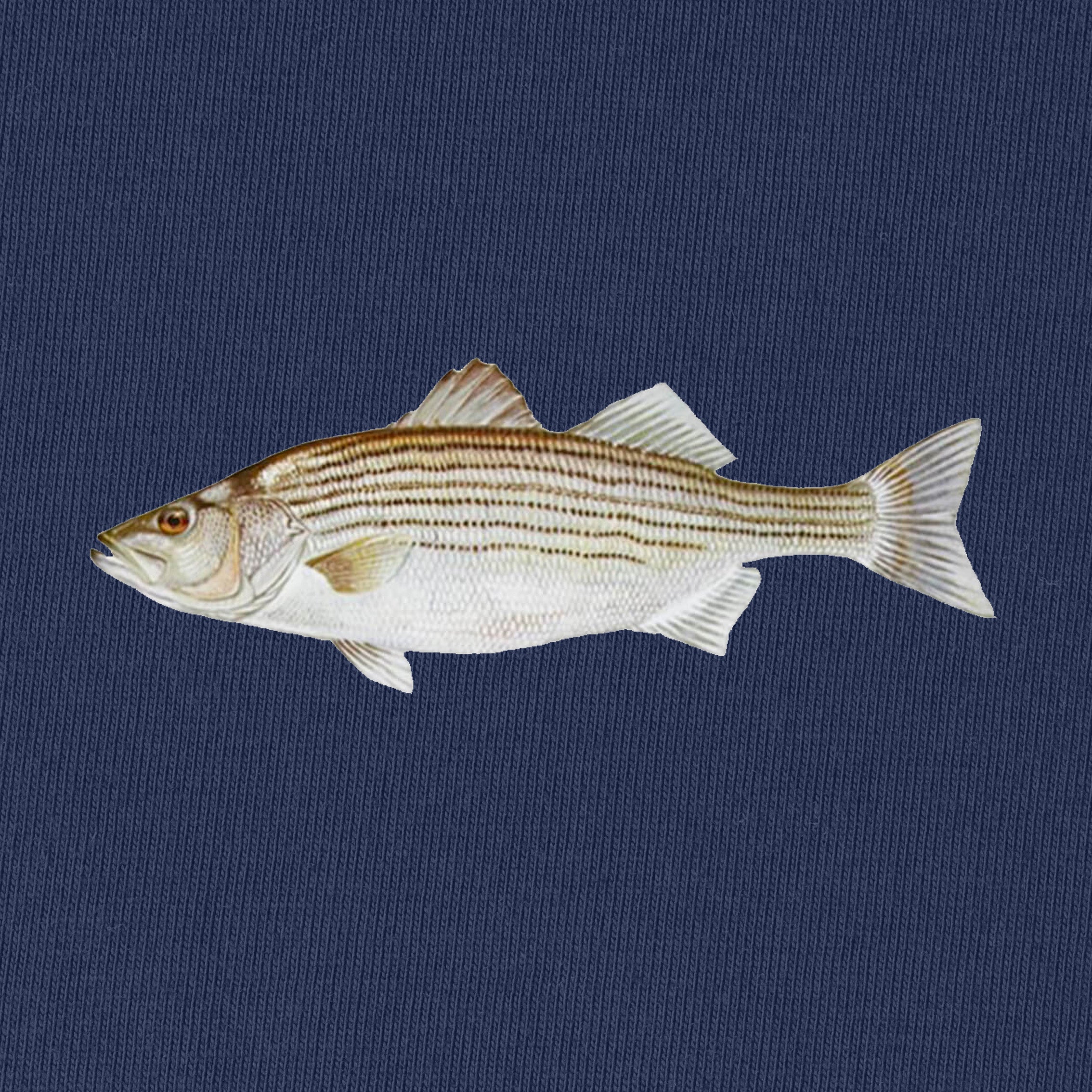 Striped Bass T-Shirt