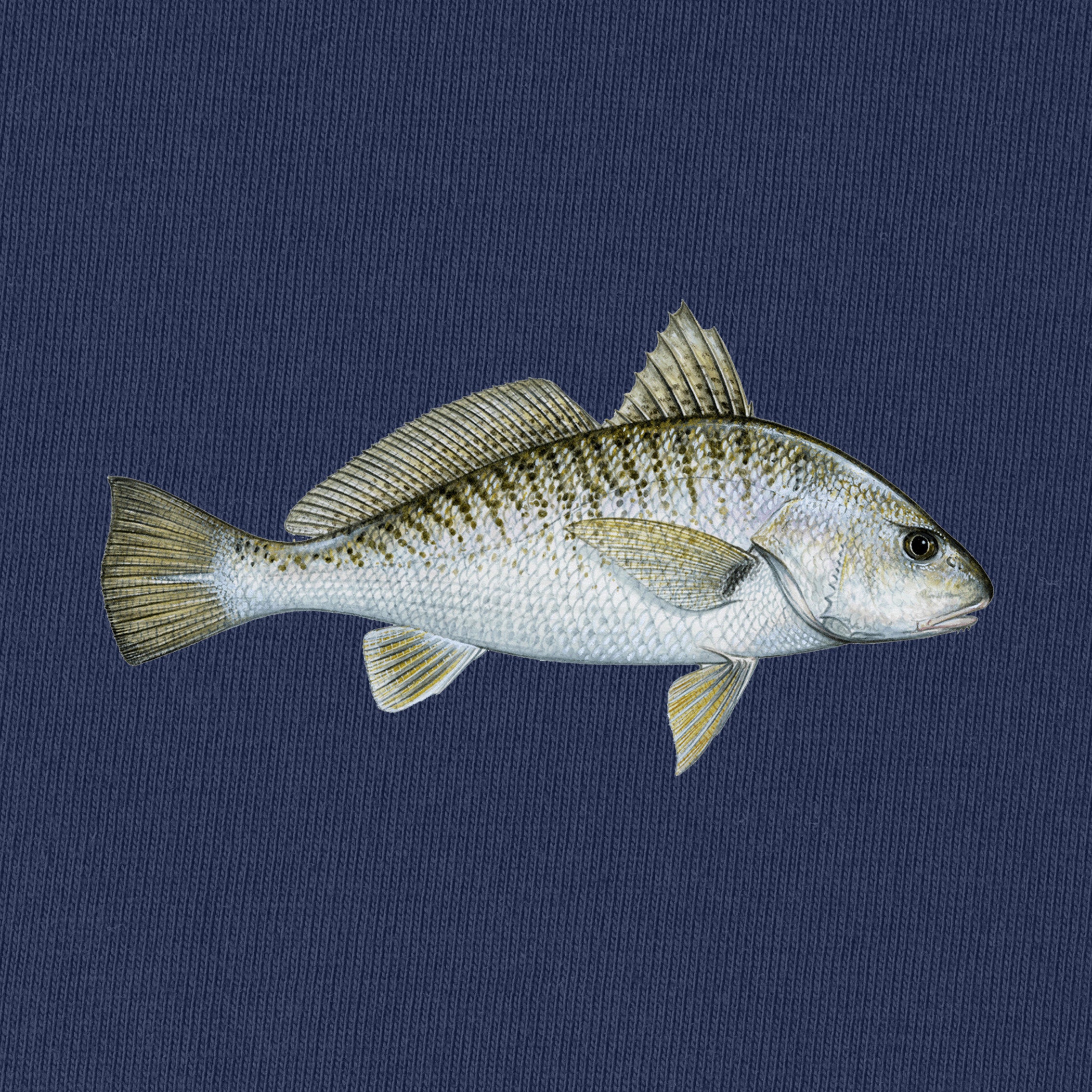 Croaker Fishing T-Shirt