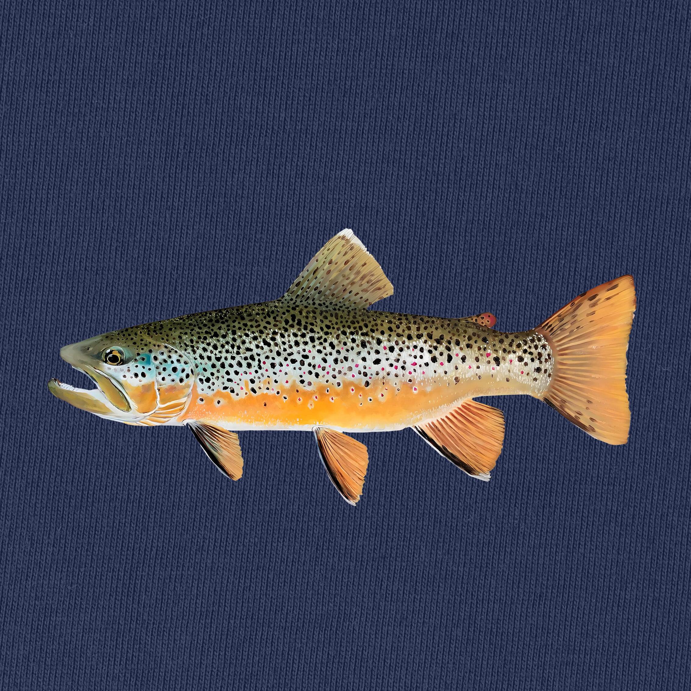 Brown Trout Fishing T-Shirt