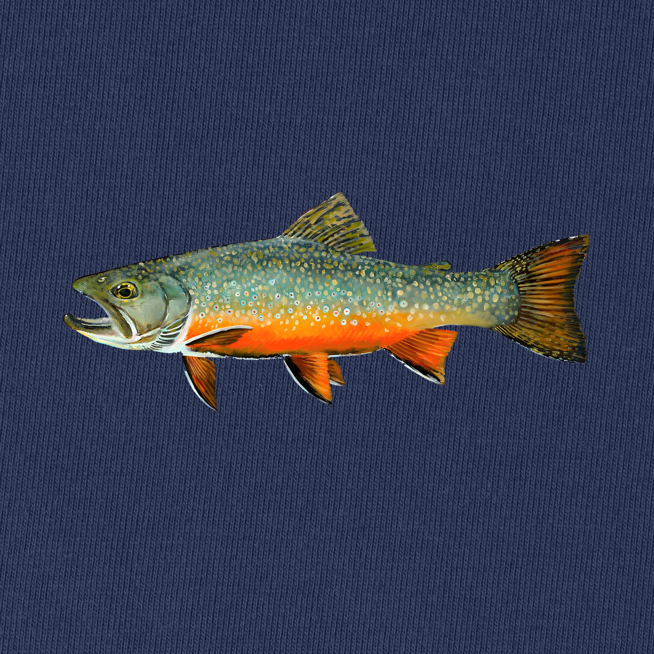 Brook Trout Fishing T-Shirt