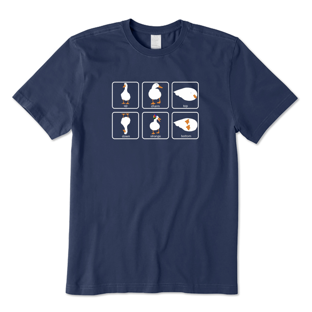 Physics Pun T-Shirt