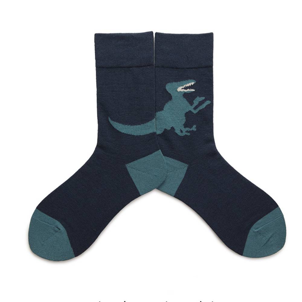 Dinosaur Socks 5 Pack